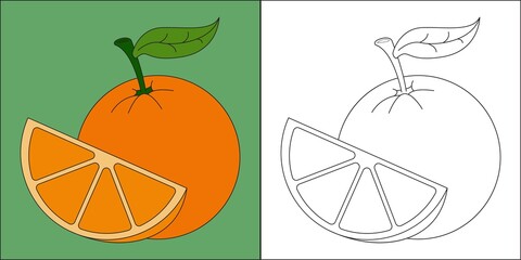 Orange fruit suitable for children's coloring page vector illustration