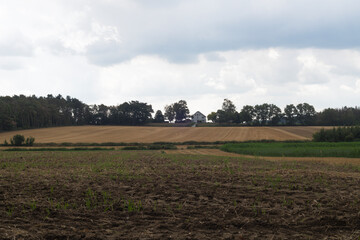 Fototapeta na wymiar plowed field and sky
