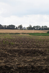 plowed field in spring