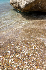 Corals washed to the shore of Playa Jeremi on the Caribbean island Curacao