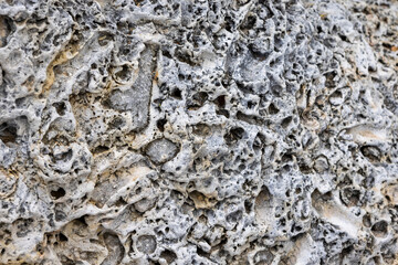 Coral rock at the shore of Playa Jeremi on the Caribbean island Curacao