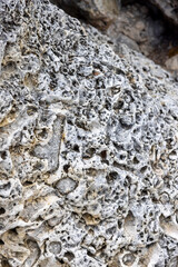Coral rock at the shore of Playa Jeremi on the Caribbean island Curacao