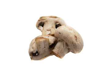 Fototapeta premium Whole mushrooms , isolated on white background. Scientific name is Agaricus bisporus. It is the most commonly used edible mushroom species for cooking.