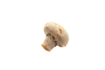 Whole mushroom, isolated on white background. The scientific name is Agaricus bisporus. It is the most widely used species of edible fungus for cooking.