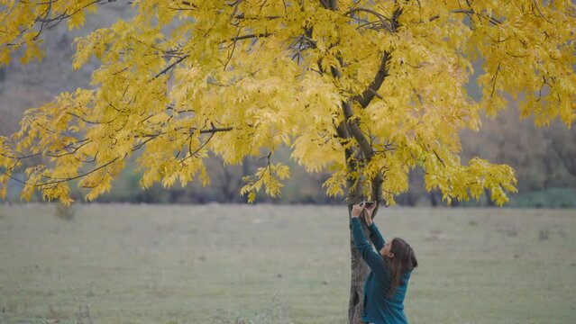 A woman taking a picture with her phone of golden leaves of a tree ina field. Slow motion. 