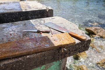 
Gutting table made of stone and tools for processing fresh fish at Playa Grandi (Playa Piscado) on...