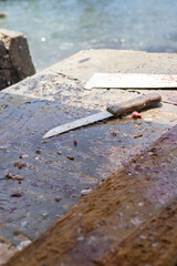 
Gutting table made of stone and tools for processing fresh fish at Playa Grandi (Playa Piscado) on...
