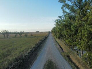camino doble al costado de bosque y campo