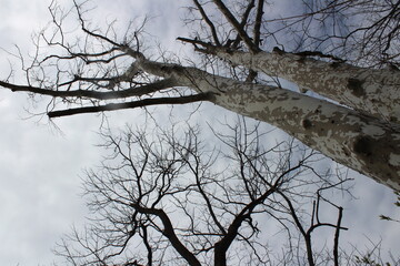 nature at its finest 