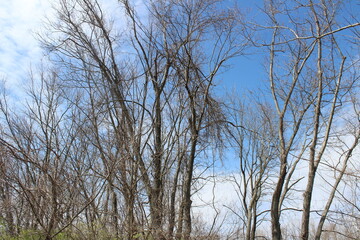 nature at its finest 