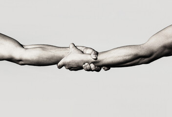 A friendly handshake. Two hands, shaking hands. Two hands, helping arm of a friend, teamwork....