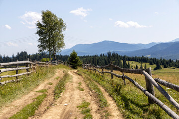Fototapeta na wymiar Green mountain meadows in the high Carpathians