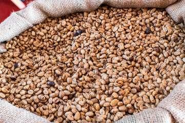 Green, unroasted coffee lies in burlap bags.