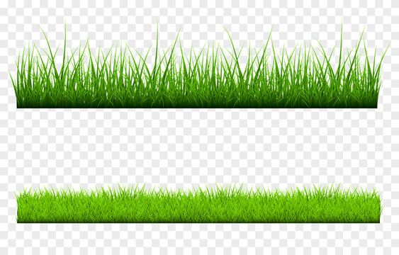 Grass Png Images – Browse 66,595 Stock Photos, Vectors, and Video | Adobe  Stock