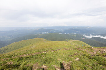 Fototapeta premium Panorama of mountains in the Ukrainian Carpathians on a summer day.