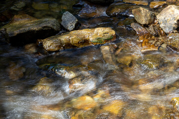 Mountain stream on a summer day in the Ukrainian Carpathians