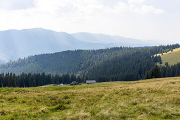 Panorama of mountains in the Ukrainian Carpathians on a summer day.