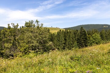 Mountain landscape in Ukrainian Carpathians in summer.