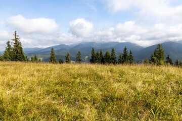 Panorama of mountains in the Ukrainian Carpathians on a summer day.