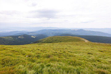 Mountain landscape in Ukrainian Carpathians in summer.