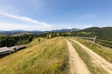 Fototapeta na wymiar Mountain dirt road in the Ukrainian Carpathians on a summer day.