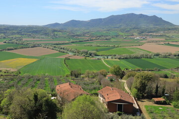 Campagna della Sabina in centro Italia