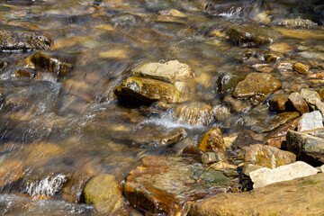 Mountain stream on a summer day in the Ukrainian Carpathians