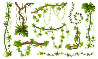Natural creepers set vector flat green leaves wooden branches tropical jungle vegetation - obrazy, fototapety, plakaty