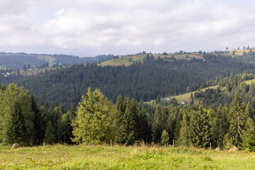 Panorama of mountains in the Ukrainian Carpathians on a summer day.