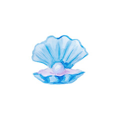Marine drawing shell with pearls. Watercolor drawing on a white background.