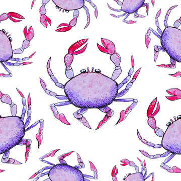 Marine drawing pattern purple crab with pink pincers. Watercolor drawing on the theme of the sea on a white background for printing.