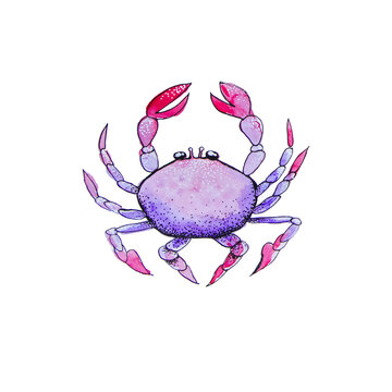 Marine pattern purple crab with pink ticks. Watercolor drawing on the theme of the sea on a white background for printing.