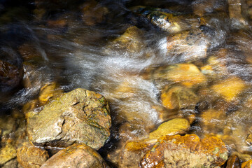 Mountain stream on a summer day in the Ukrainian Carpathians