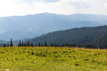 Fototapeta premium Panorama of mountains in the Ukrainian Carpathians on a summer day.