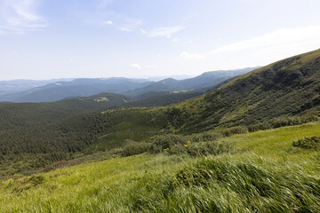 Mountain landscape in Ukrainian Carpathians in summer.