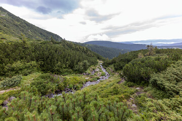 Obraz premium Panoramic view of the Ukrainian mountains Carpathians