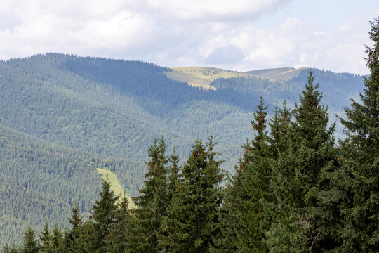 Panorama of mountains in the Ukrainian Carpathians on a summer sunny day. © Sergey
