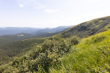 Naklejka premium Mountain landscape in Ukrainian Carpathians in summer.