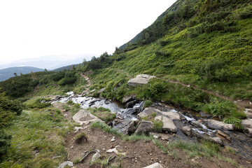 Mountain stream on a summer day in the Ukrainian Carpathians