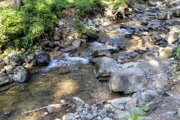 Mountain stream on a summer day in the Ukrainian Carpathians