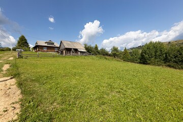 Fototapeta na wymiar Green mountain meadows in the Ukrainian Carpathians