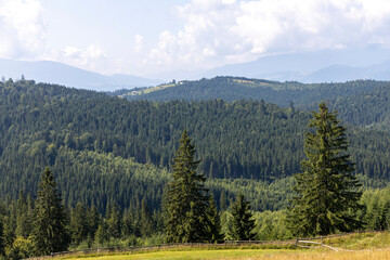 Panorama of mountains in the Ukrainian Carpathians on a summer day.