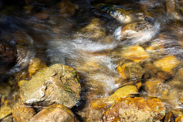 Mountain stream on a summer day in the Ukrainian Carpathians