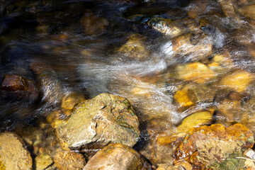 Mountain stream on a summer day in the Ukrainian Carpathians