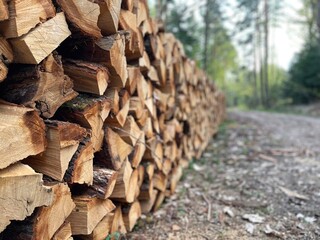 Side view on pile of wood logs in forest, cut in various shapes and sizes, near a path