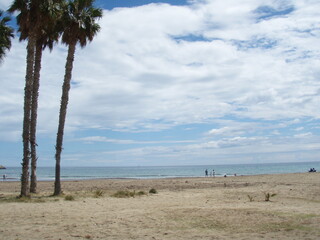Playa con tres palmeras altas y matorrrales pequeños de vegetación en la arena con personas al...
