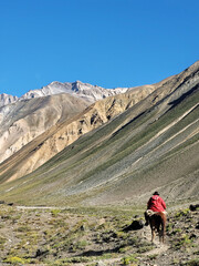 Fototapeta na wymiar Horse ride Adventure in Andes Mountain 
