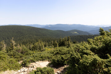 Mountain landscape in Ukrainian Carpathians in summer.