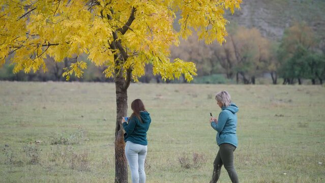Mother and daughter taking pictures of a tree with golden leaves with a phone. Slow motion.