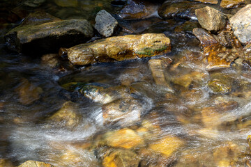 Mountain stream on a summer day in the Ukrainian Carpathians